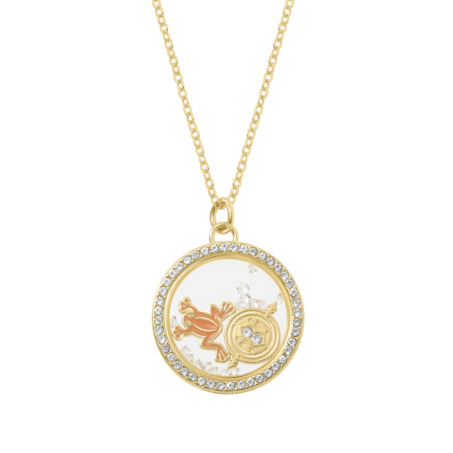 Harry Potter Chocolate Frog and Time Turner Shaker Pendant Necklace with Crystals - 18'' + 1''
