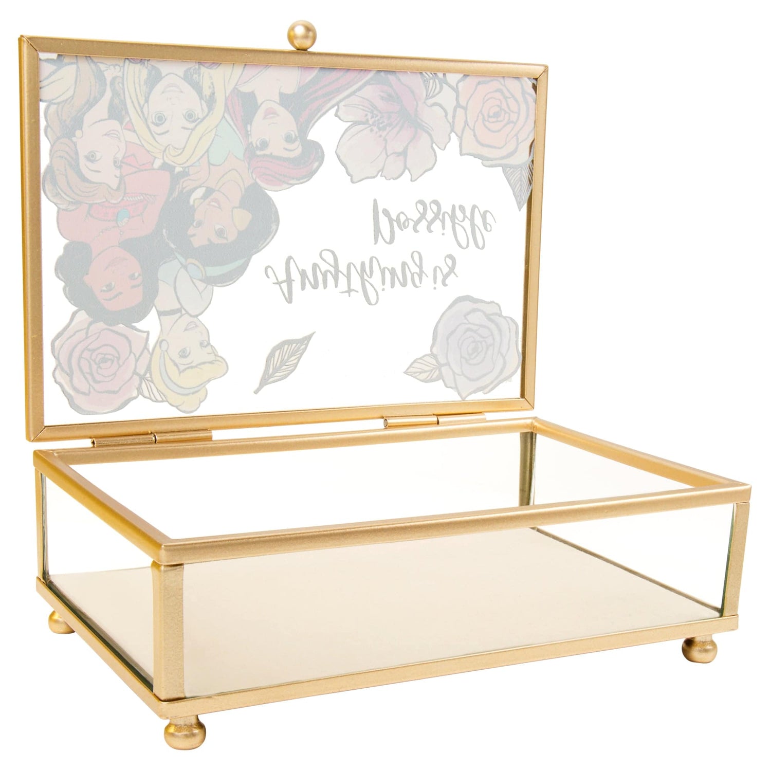 Disney Princess Anything's Possible Jewelry Box - Sallyrose